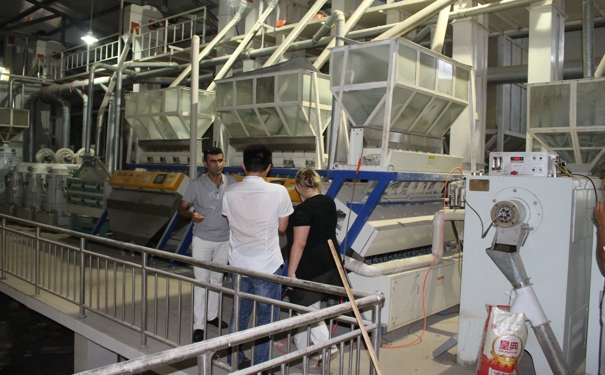 大米加工設(shè)備