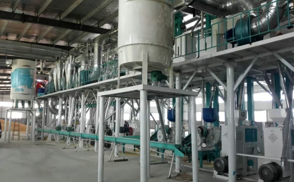 日產80噸大米加工設備